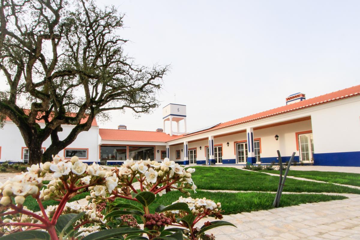 Quinta Da Torre - Casas De Campo Bed & Breakfast Alenquer Ngoại thất bức ảnh